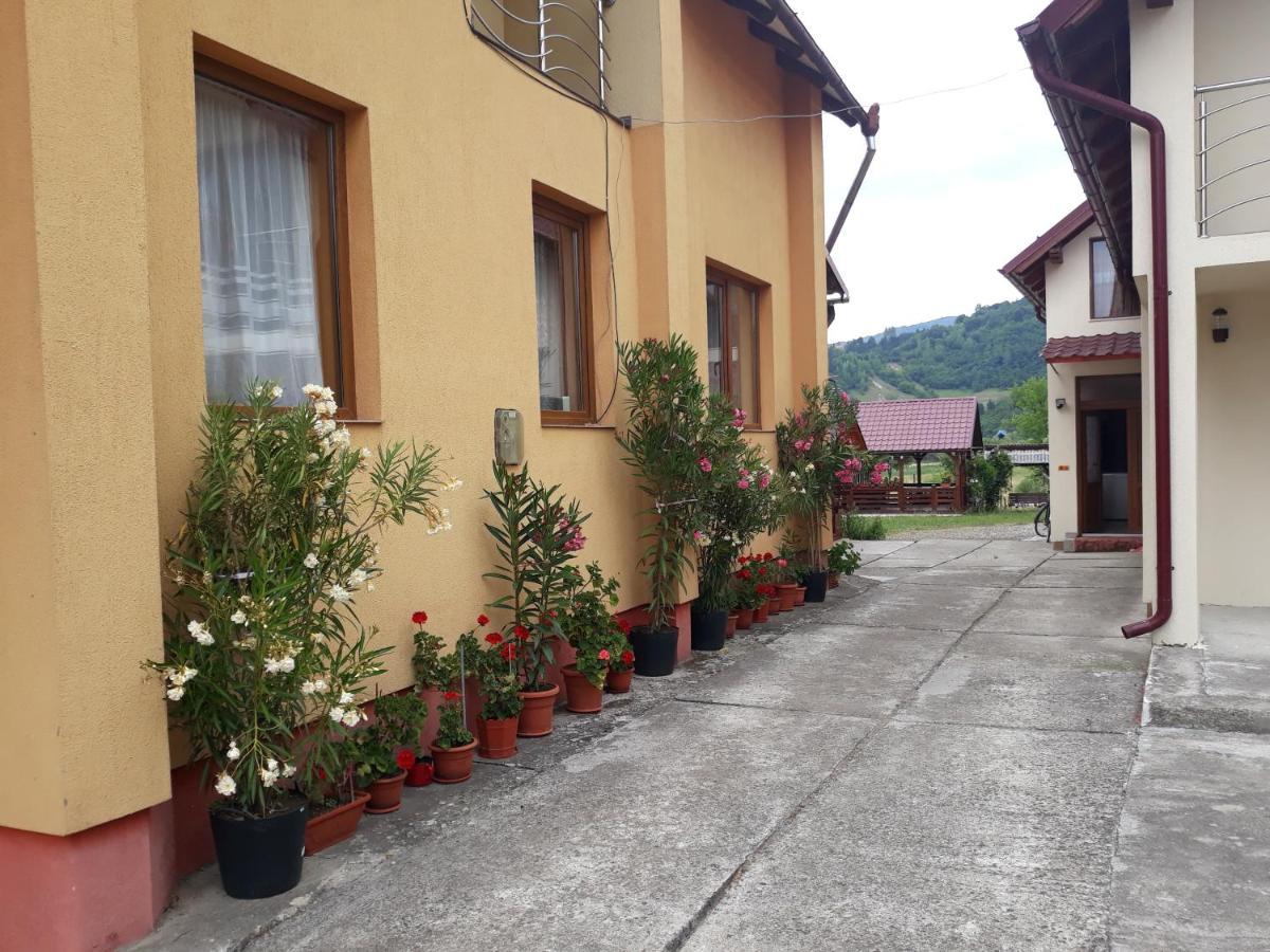 Pensiunea Popan Sieu  Exterior photo