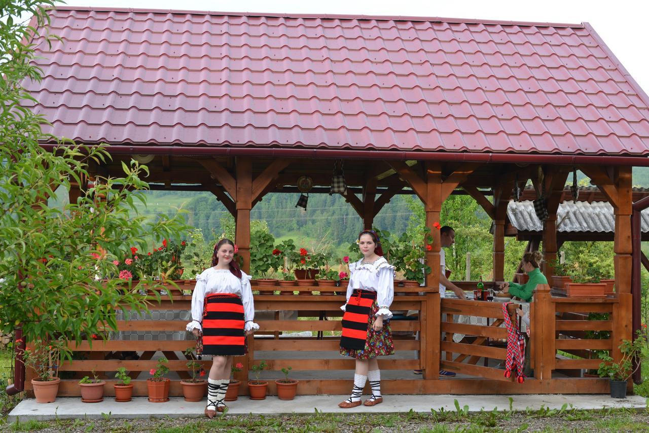 Pensiunea Popan Sieu  Exterior photo